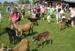 VÝLET NA FARMU – 1. B